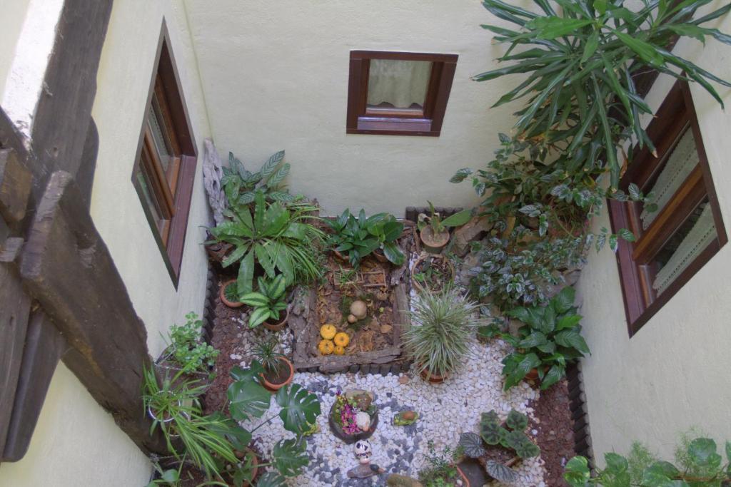 לקומברי Hostal Rural Elosta מראה חיצוני תמונה