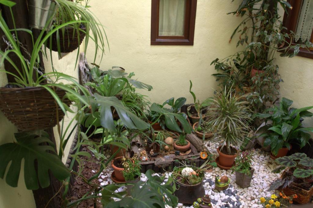 לקומברי Hostal Rural Elosta מראה חיצוני תמונה